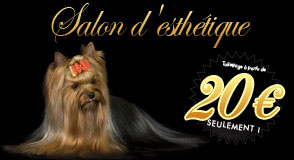 salon-accueil